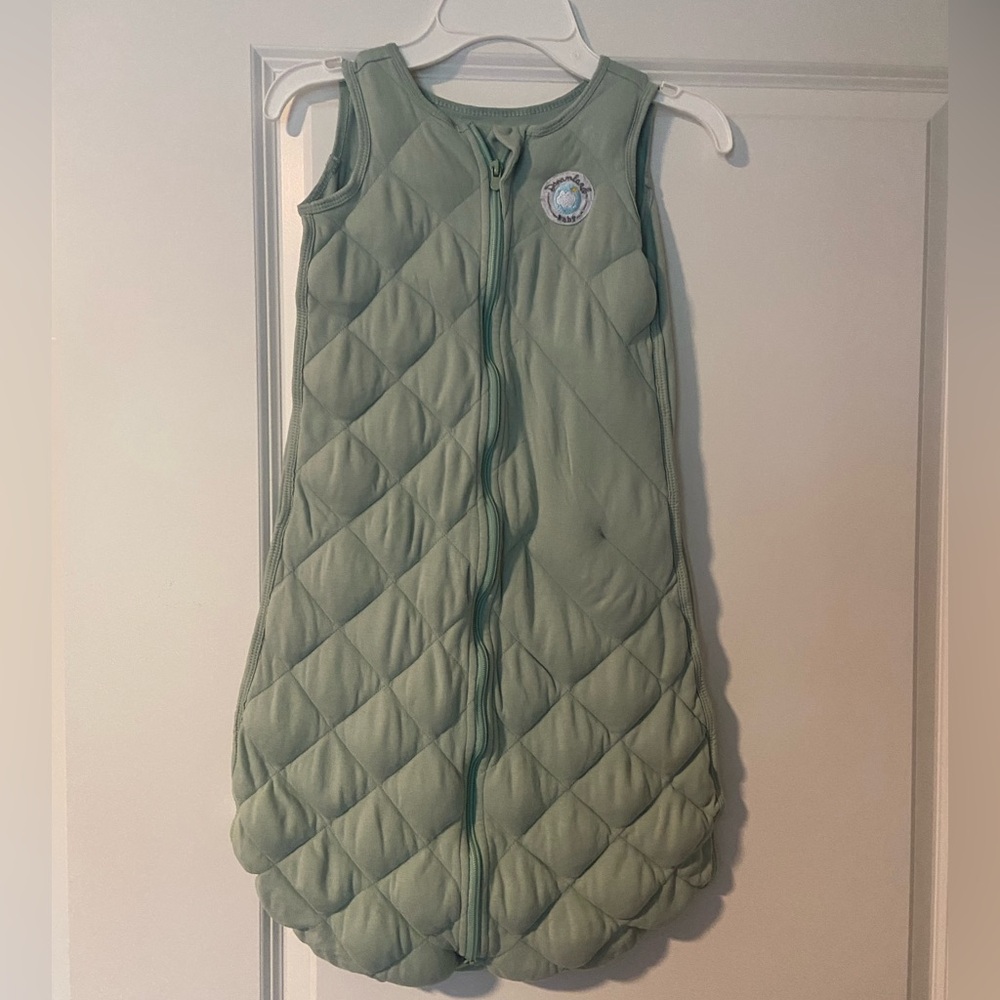 Dreamland Sleep Sack 6-12 months